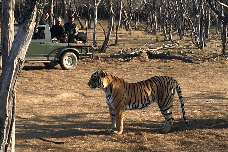 Viaje a India Protegidas