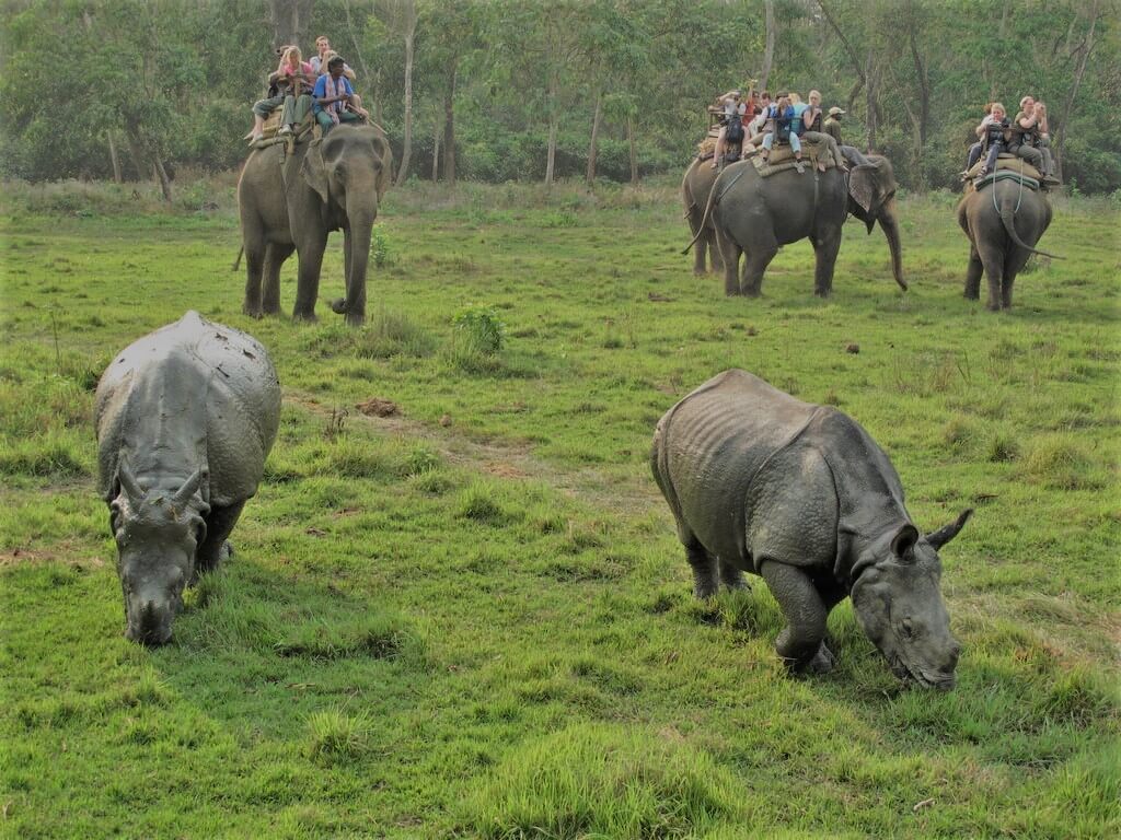 Trek au Népal & Safari à Chitwan